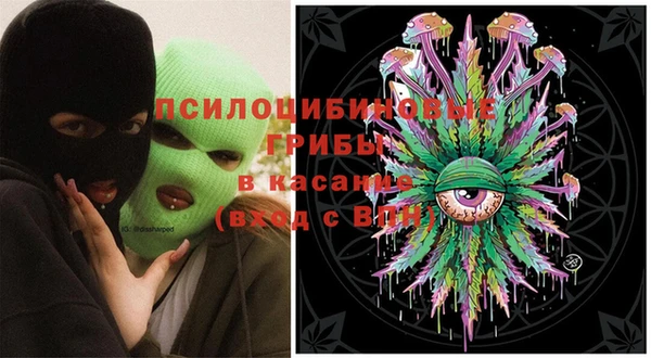 каннабис Аркадак